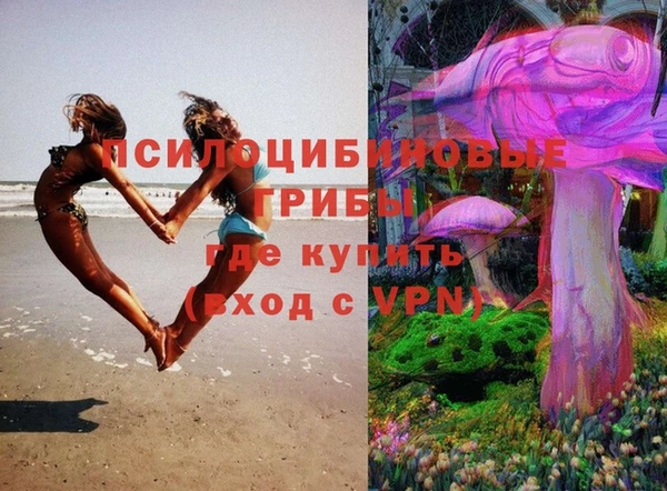 дмт Бронницы