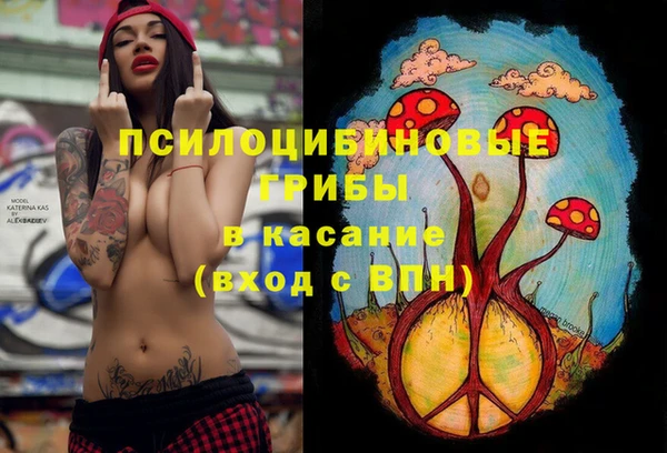 дмт Бронницы
