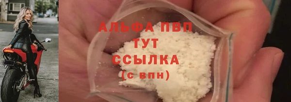 эйфоретик Богданович