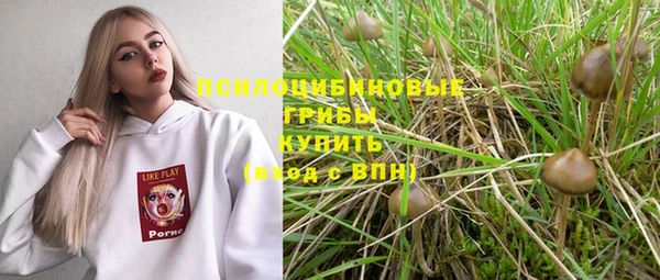 кристаллы Инта