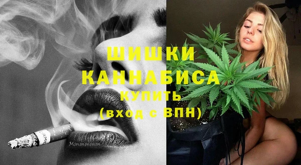 гидра Бородино