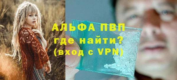 гидра Бородино