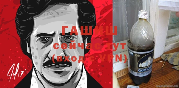 гидра Бородино