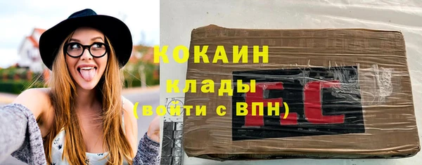 гидра Бородино