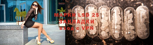 гидра Бородино
