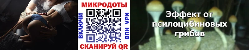 хочу наркоту  Когалым  Псилоцибиновые грибы мухоморы 
