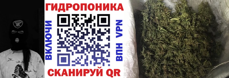 Бошки Шишки Amnesia  omg вход  Когалым 